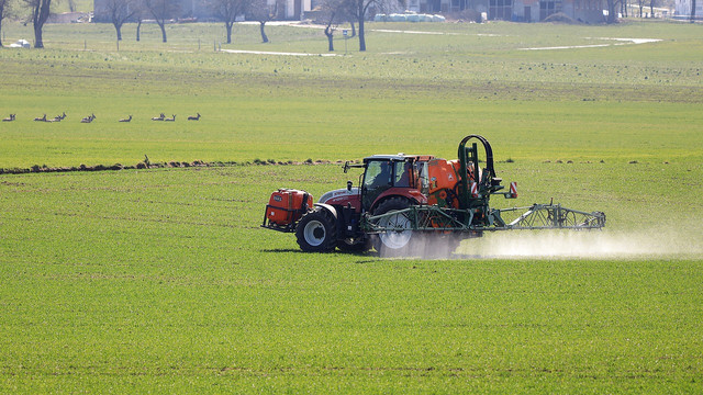 Effective Weed Control Solutions for Commercial Properties